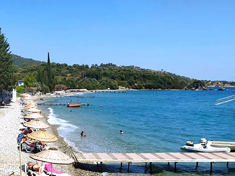 Mazı